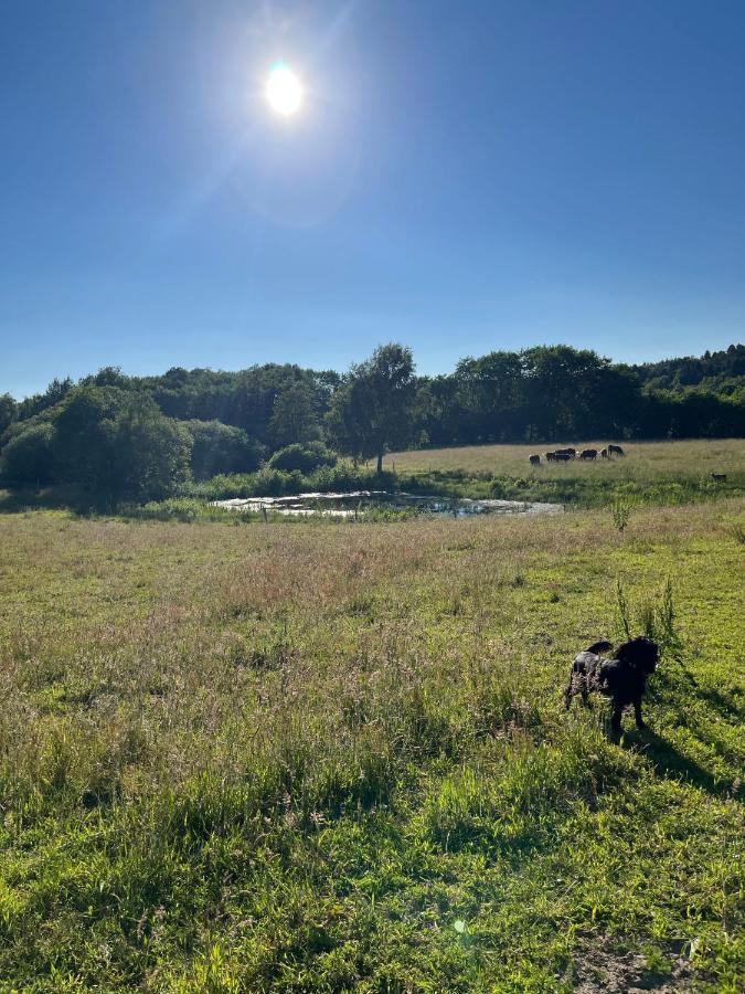 Gaestfri Overnatning Gjern Bagian luar foto